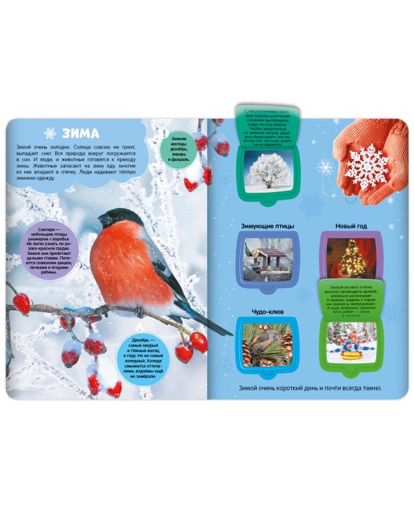 Первые знания малыша(с окошками). Времена года