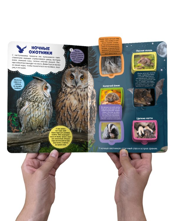 Первые знания малыша(с окошками). В лесу