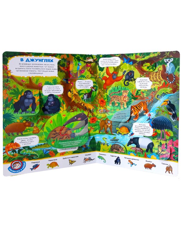 Виммельбух с окошками. Животные