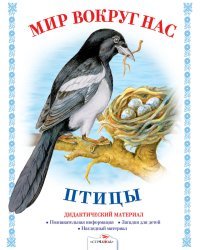 Птицы