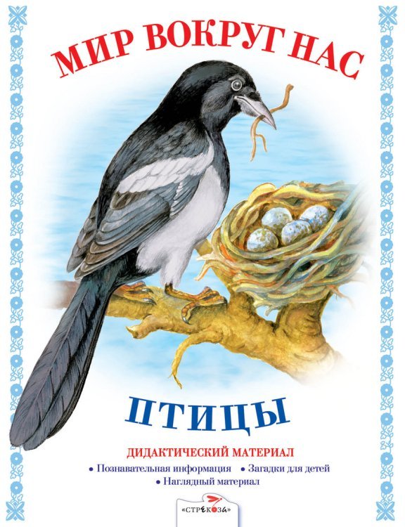 Птицы