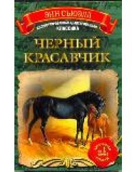 Черный Красавчик