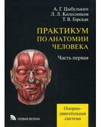 Практикум по анатомии человека. В 4-х частях. Учебное пособие. Часть 1: Опорно-двигательная система. Гриф УМО по медицинскому образованию