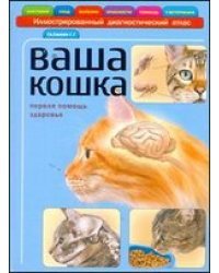 Ваша кошка