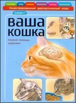 Ваша кошка