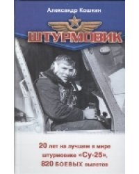 Штурмовик
