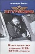 Обложка книги «Штурмовик» — Кошкин А., ISBN 9785271406546