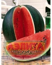 Семена. Арбуз "Сахарный малыш", 1 грамм