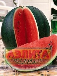 Семена. Арбуз "Сахарный малыш", 1 грамм