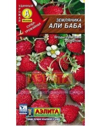Семена. Земляника "Али Баба"