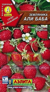 Обложка книги «Семена. Земляника "Али Баба"»