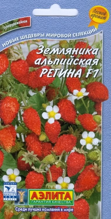 Семена. Земляника "Регина", альпийская