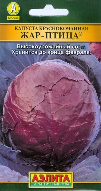 Обложка книги «Семена. Капуста краснокочанная "Жар птица"»