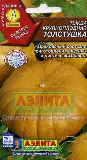 Семена. Тыква "Толстушка"