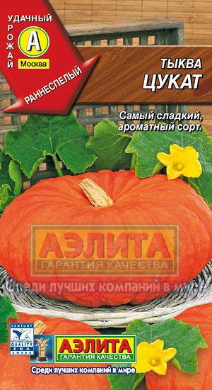 Семена. Тыква "Цукат"