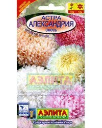 Семена. Астра "Александрия", смесь, однолетний, 0.2 грамма