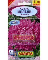 Семена. Астра "Миледи розовая", однолетник
