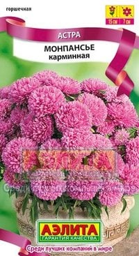 Семена. Астра "Монпансье карминная", однолетник, 0.2 грамма