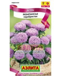 Семена. Астра "Монпансье серебристая", однолетник