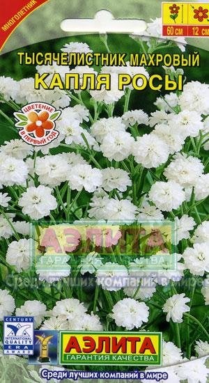 Семена. Тысячелистник "Капля росы", махровый, многолетник