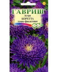 Семена. Астра "Боретта", темно-фиолетовая (вес: 0,3 г)