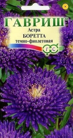 Семена. Астра "Боретта", темно-фиолетовая (вес: 0,3 г)