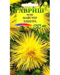 Семена. Астра "Майстер Электра" (вес: 0,3 г)