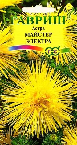 Семена. Астра "Майстер Электра" (вес: 0,3 г)