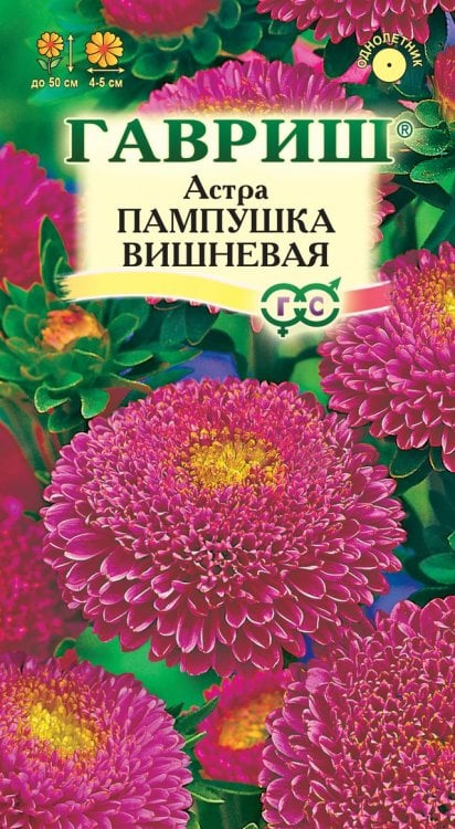 Семена. Астра "Пампушка", вишневая (вес: 0,3 г)