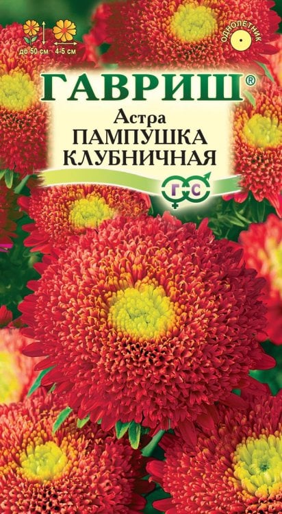 Семена. Астра "Пампушка", клубничная (вес: 0,3 г)