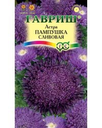 Семена. Астра "Пампушка", сливовая (вес: 0,3 г)