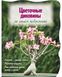 Цветочные диковины на вашем подоконнике