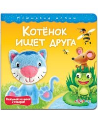 Котёнок ищет друга