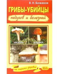 Грибы - убийцы недугов и болезней. Лисичка, мухомор, чага на страже здоровья