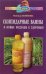 Обложка книги «Скипидарные ванны и новые подходы к здоровью» — Семенова, ISBN 5885033269