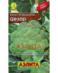 Семена. Капуста брокколи "Цезар"