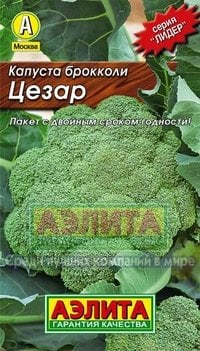 Семена. Капуста брокколи "Цезар"