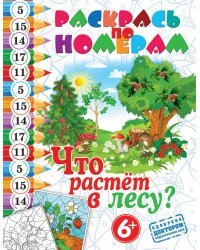 Раскрась по номерам. Что растет лесу?