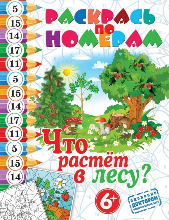 Обложка книги «Раскрась по номерам. Что растет лесу?», ISBN 9785386053024