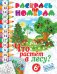 Обложка книги «Раскрась по номерам. Что растет лесу?», ISBN 9785386053024