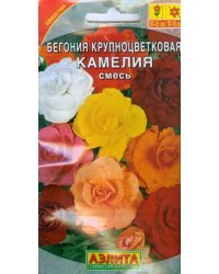 Семена. Бегония крупноцветковая "Камелия", смесь