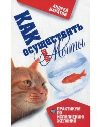 Как осуществить свои мечты. Практикум по исполнению желаний