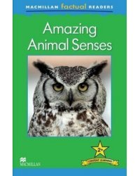 Amazing Animal Senses