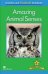 Amazing Animal Senses