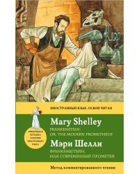Франкенштейн, или современный Прометей. Метод комментированного чтения