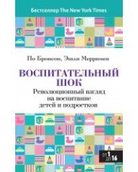 Воспитательный шок