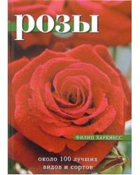 Розы: Около 100 лучших видов и сортов
