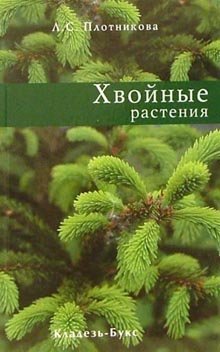 Хвойные растения / 