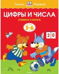 Цифры и числа (5-6 лет)