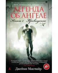 Легенда об ангеле. Книга 1. Провидение
